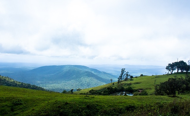 与能量